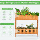 2-Tier Elevated Wood Planter Box Raised Garden Bed