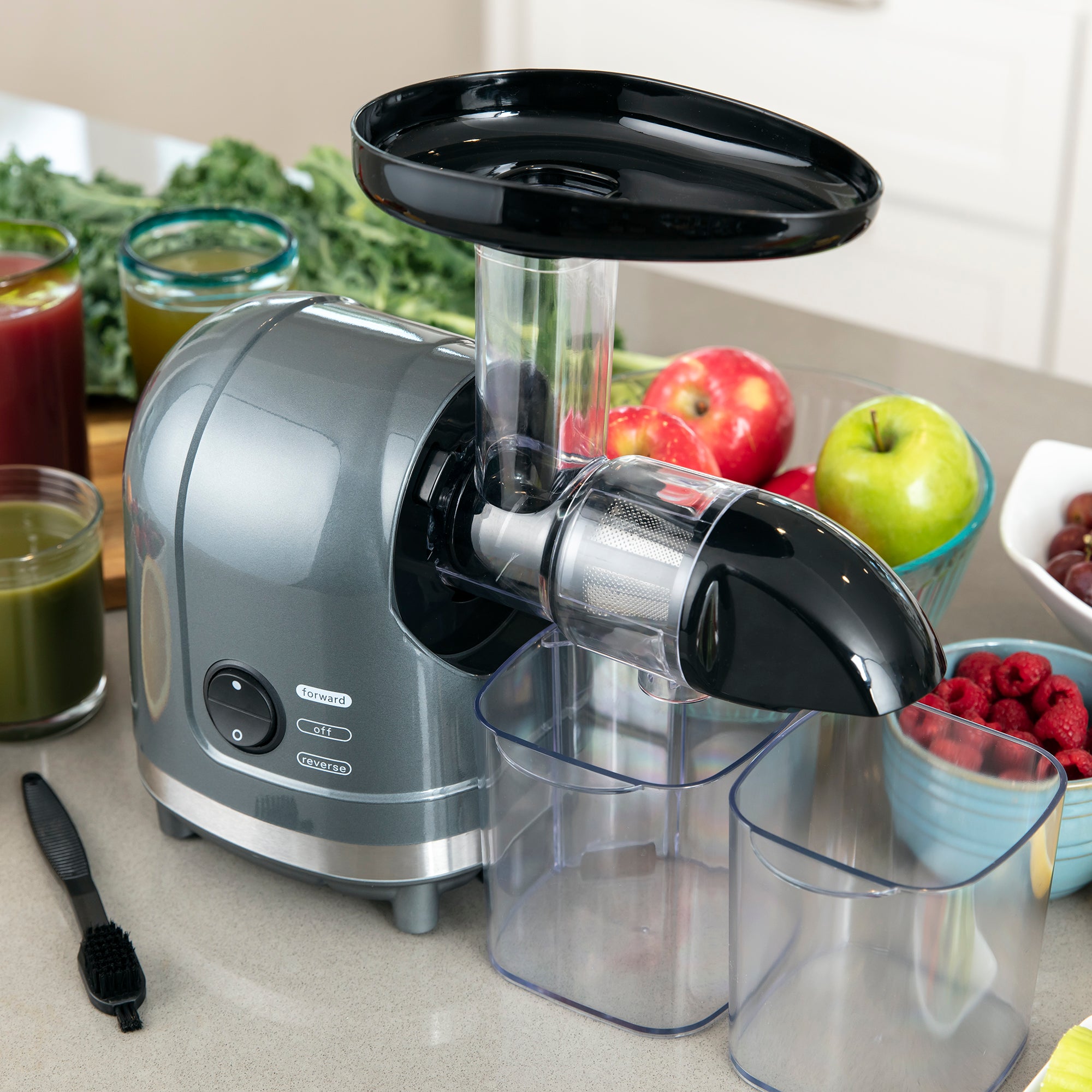 150W Horizontal Slow Masticating Juicer in Gray, Cold Press Extractor w/ Lock, Reverse Mode, Quiet Motor