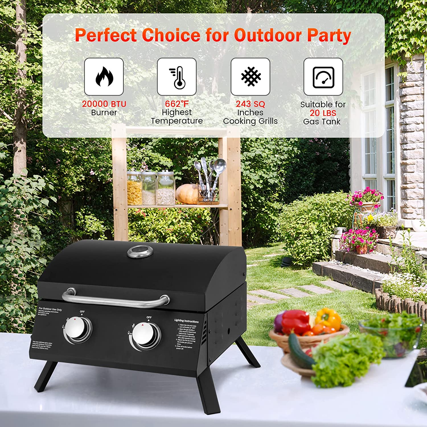 2-Burner Portable Propane Gas Table Top Grill in Black