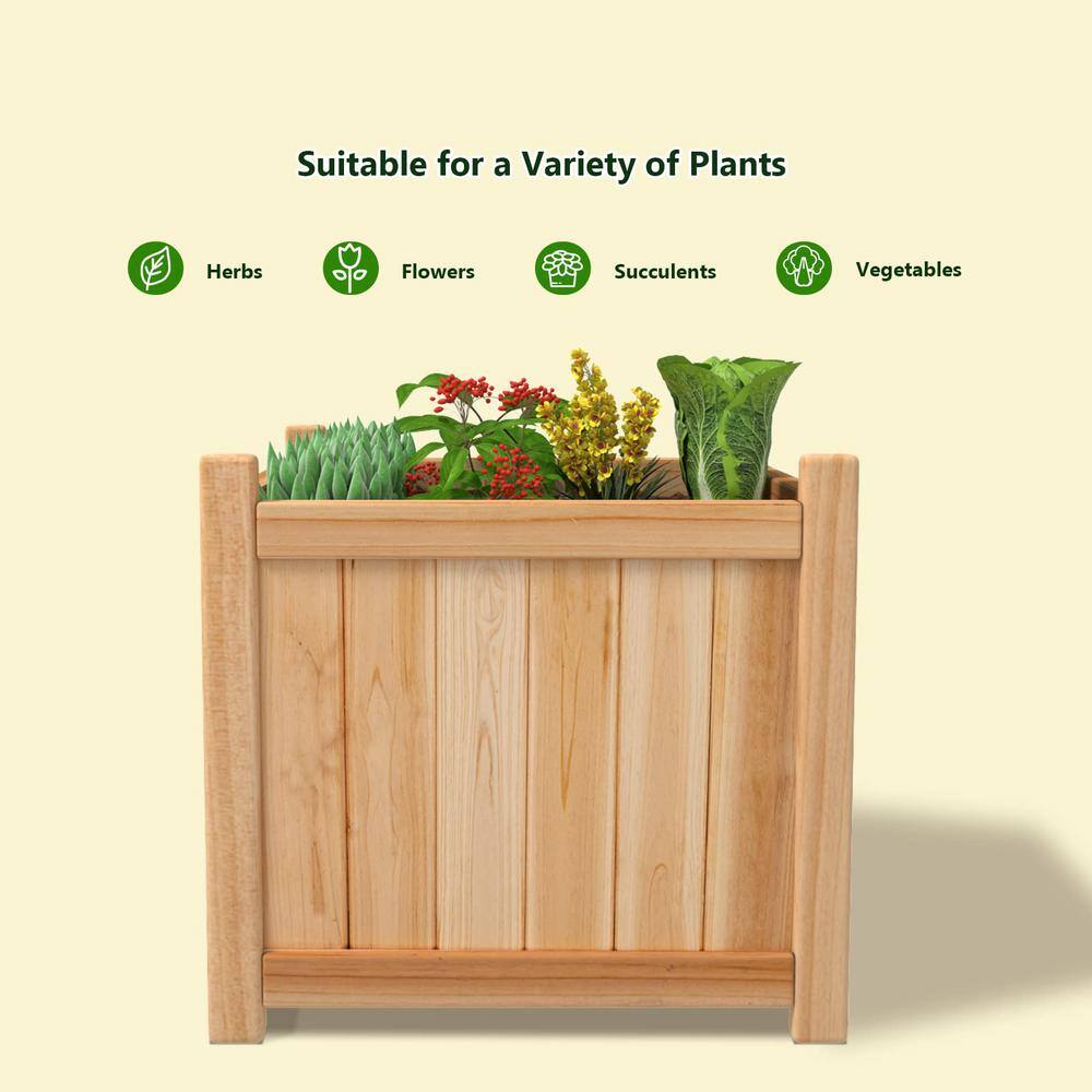 15 in. L x 15 in. W x 14 in. H Wood Raised Garden Bed Square Flower Planter Box