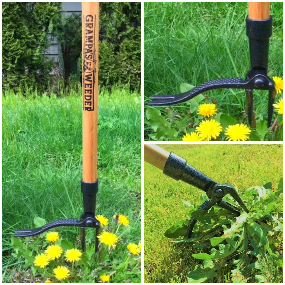 SUGIFT- The Original Stand Up Weed Puller Tool with Long Handle - Made with Real Bamboo & 4-Claw Steel Head Design - Easily Remove Weeds While Saving Your Knees & Back